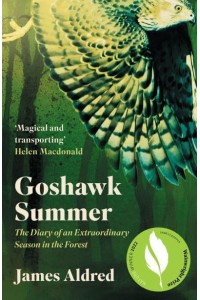 Goshawk Summer A New Forest Season Unlike Any Other