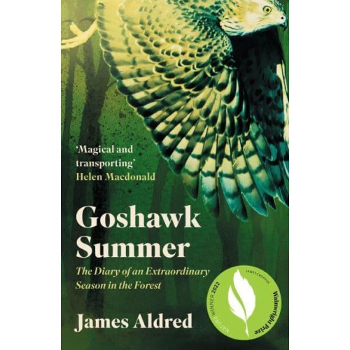 Goshawk Summer A New Forest Season Unlike Any Other