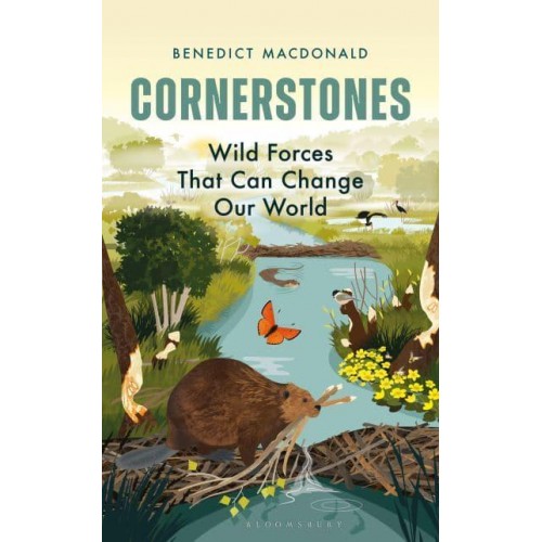 Cornerstones Wild Forces That Can Change Our World