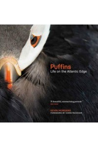 Puffins Life on the Atlantic Edge