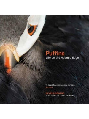 Puffins Life on the Atlantic Edge