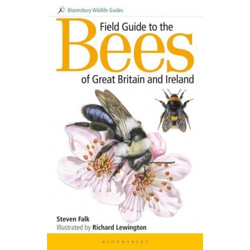 Field Guide to the Bees of Great Britain and Ireland - British Wildlife Field Guides
