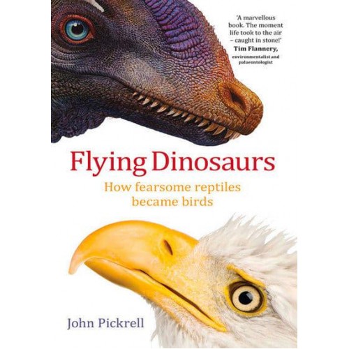 Flying Dinosaurs How Fearsome Reptiles Became Birds