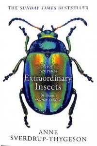 Extraordinary Insects Weird, Wonderful, Indispensable, the Ones Who Run Our World