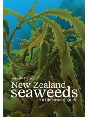 New Zealand Seaweeds An Illustrated Guide