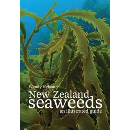 New Zealand Seaweeds An Illustrated Guide