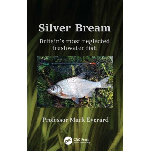 Silver Bream Britain's Most Neglected Freshwater Fish