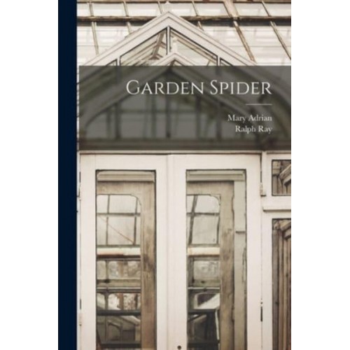Garden Spider