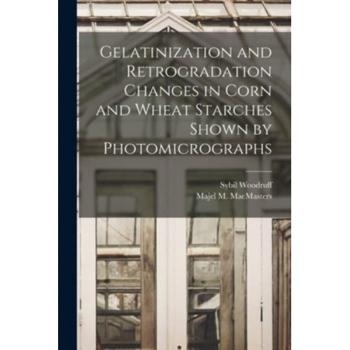 Gelatinization and Retrogradation Changes in Corn and Wheat Starches Shown by Photomicrographs