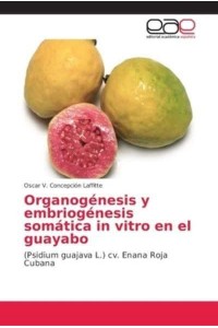 Organogénesis y embriogénesis somática in vitro en el guayabo