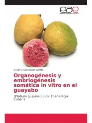 Organogénesis y embriogénesis somática in vitro en el guayabo