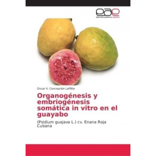 Organogénesis y embriogénesis somática in vitro en el guayabo