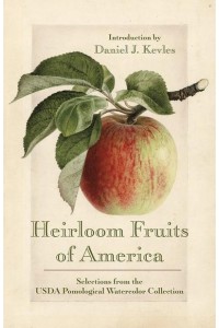 Heirloom Fruits of America Selections from the USDA Pomological Watercolor Collection