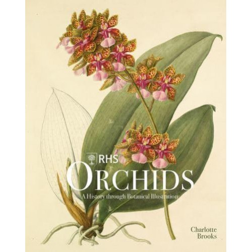 RHS Orchids - ACC Art Books