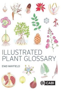 Illustrated Plant Glossary