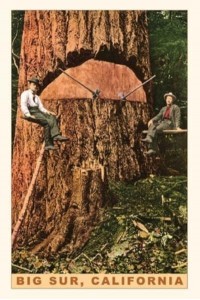 Vintage Journal Chopping Down a Redwood, Big Sur, California - Pocket Sized - Found Image Press Journals