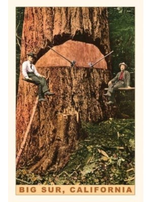 Vintage Journal Chopping Down a Redwood, Big Sur, California - Pocket Sized - Found Image Press Journals
