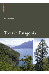 Trees in Patagonia