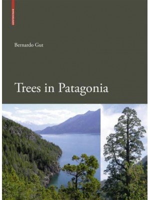 Trees in Patagonia
