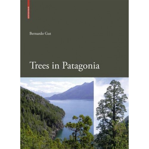 Trees in Patagonia