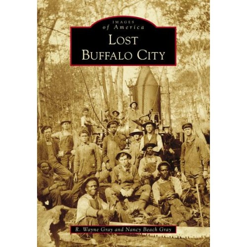 Lost Buffalo City - Images of America