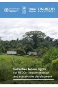 Collective Tenure Rights for REDD+ Implementation and Sustainable Development