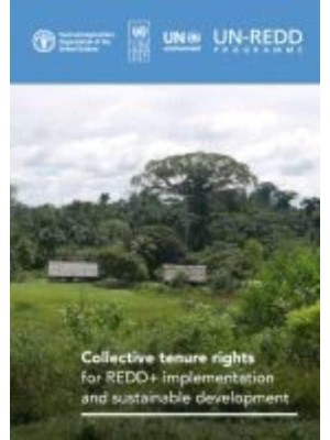 Collective Tenure Rights for REDD+ Implementation and Sustainable Development