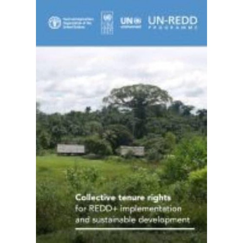 Collective Tenure Rights for REDD+ Implementation and Sustainable Development