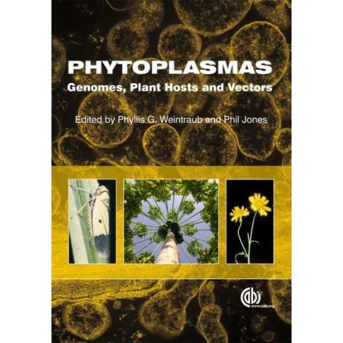 Phytoplasmas Genomes, Plant Hosts and Vectors