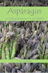 Asparagus Its Culture for Home Use and for Market