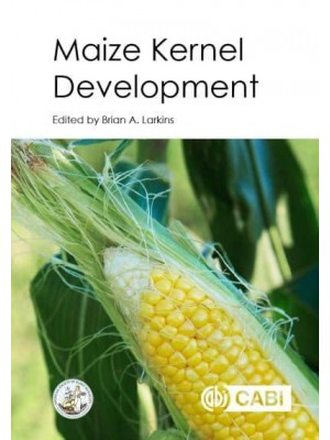 Maize Kernel Development