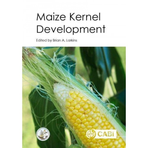 Maize Kernel Development