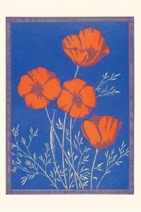 Vintage Journal Popies - Pocket Sized - Found Image Press Journals