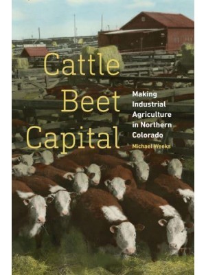 Cattle Beet Capital Making Industrial Agriculture in Northern Colorado