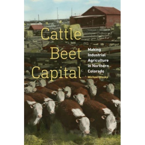 Cattle Beet Capital Making Industrial Agriculture in Northern Colorado