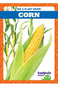 Corn - See a Plant Grow!