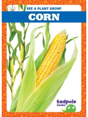 Corn - See a Plant Grow!