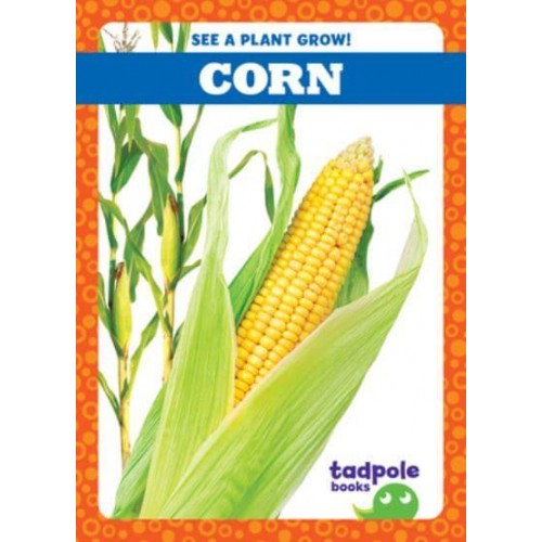 Corn - See a Plant Grow!