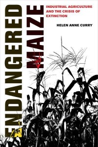 Endangered Maize Industrial Agriculture and the Crisis of Extinction