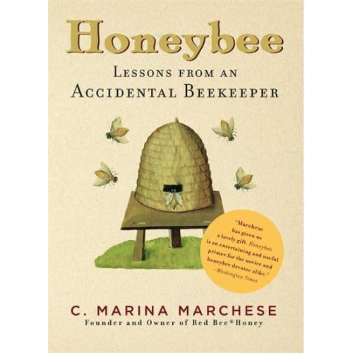 Honeybee Lessons from an Accidental Beekeeper