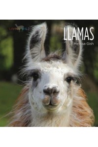Llamas - Living Wild