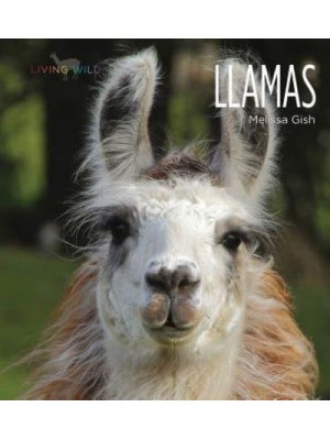 Llamas - Living Wild