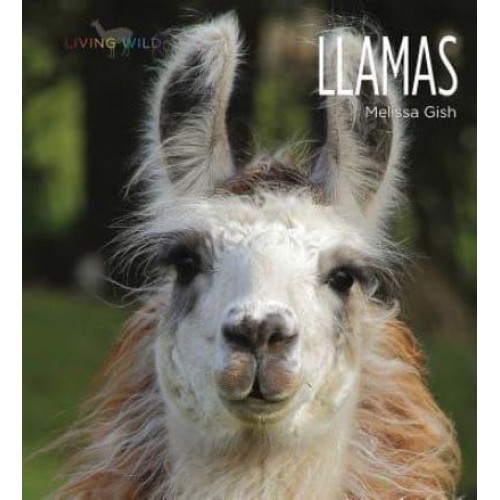 Llamas - Living Wild