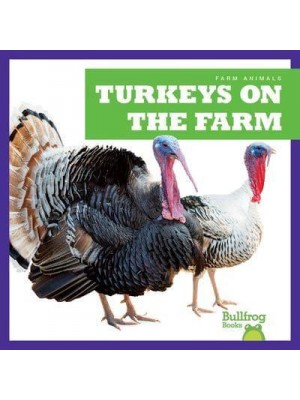 Turkeys on the Farm - Farm Animals
