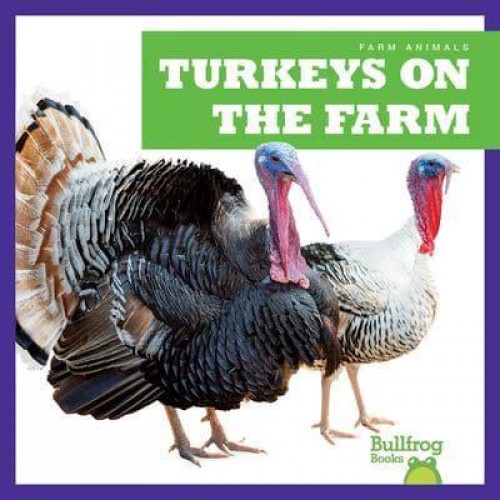 Turkeys on the Farm - Farm Animals