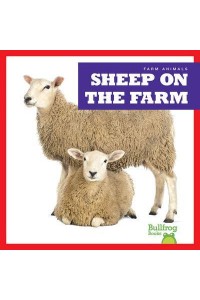 Sheep on the Farm - Farm Animals