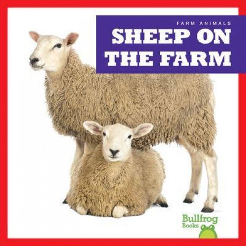 Sheep on the Farm - Farm Animals