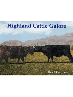 Highland Cattle Galore Gu Leoir, Gaelic for Sufficient, in English Became Galore Meaning Aplenty