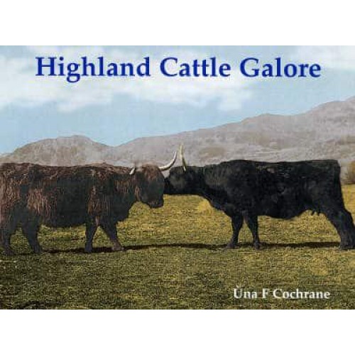 Highland Cattle Galore Gu Leoir, Gaelic for Sufficient, in English Became Galore Meaning Aplenty