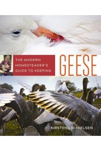 The Modern Homesteader's Guide to Keeping Geese